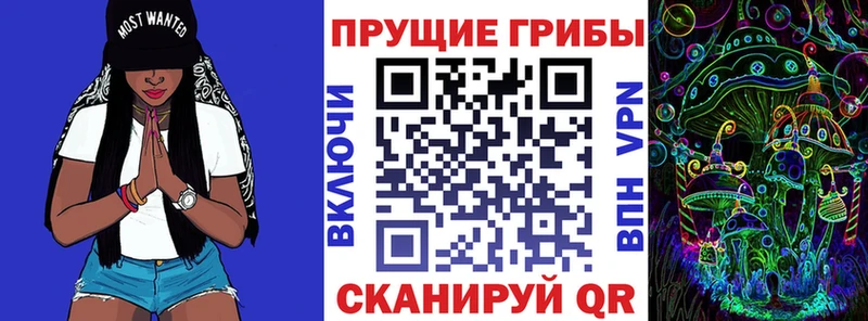 купить наркотик  omg зеркало  Галлюциногенные грибы Psilocybine cubensis  Изобильный 